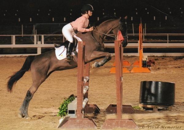 Jumping Show in Germantown, TN