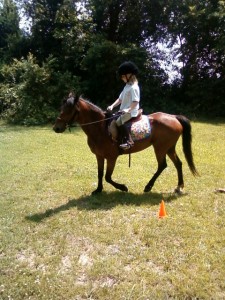 Hanna & Cinnemon cones Hanna & Cinnemon riding lesson with cones