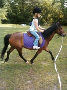 Hanna Lesson Hanna & Cinnemon riding lesson