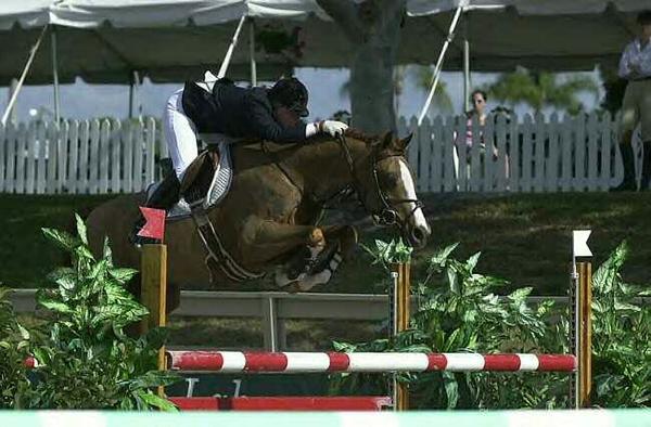 Shannyn Welsh (our instructor/trainer) showing in Florida.