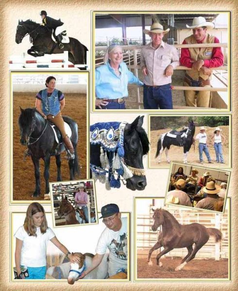 ShannynMakesFrontpageArkansasHoofest(2) Shannyn Makes Front Page Arkansas Hoofest