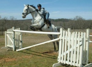shannynrumpyjump